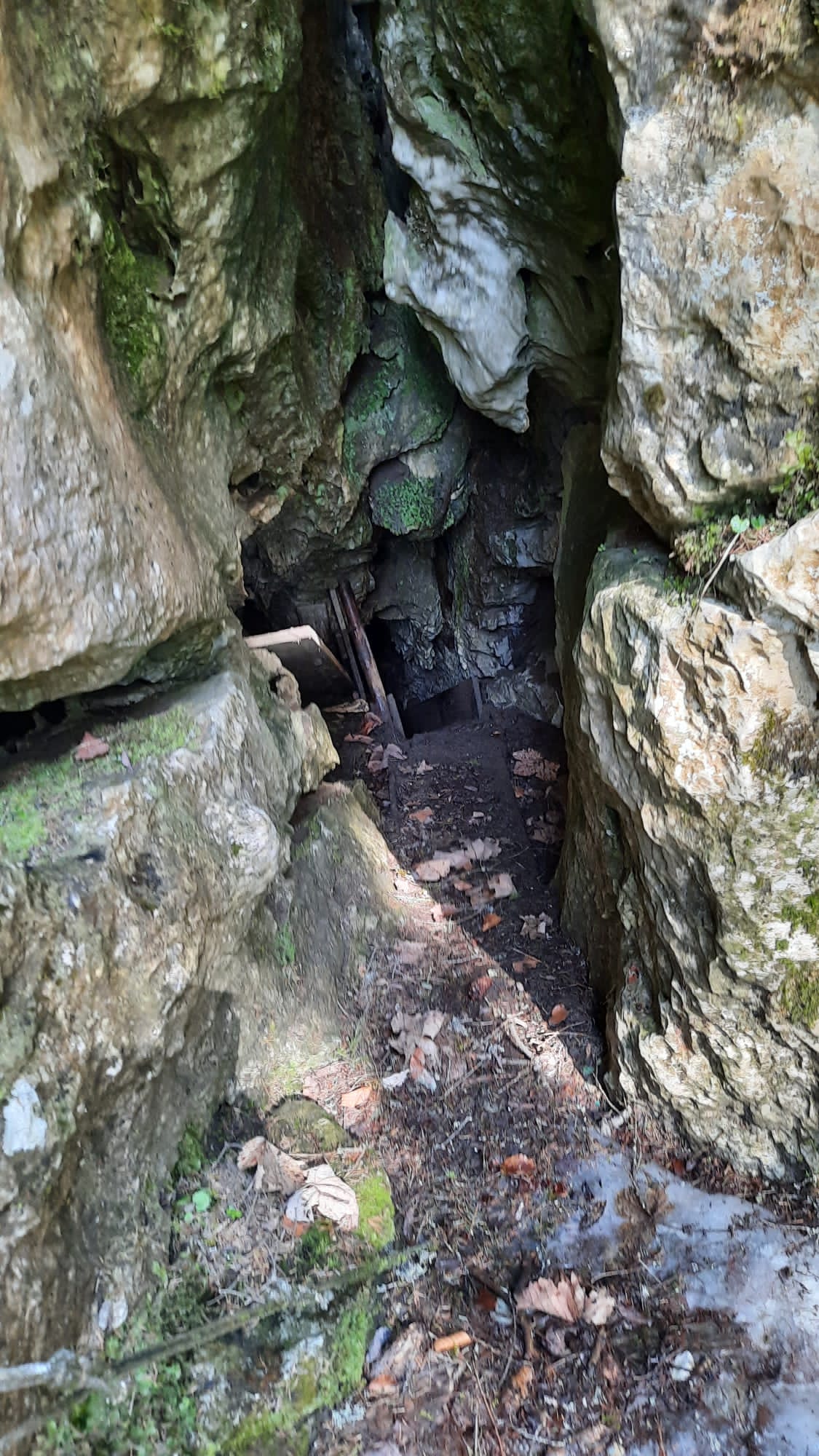 Peștera Clopotnița - Image 2